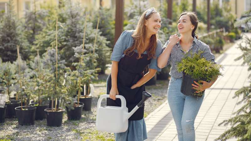 How to Transform Your Yard into a Functional and Beautiful Landscape