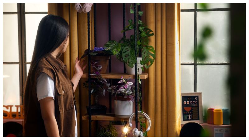 The Hidden Elements Behind Beautiful Living Spaces