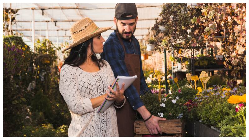 What to Plan Ahead of a Yard Renovation