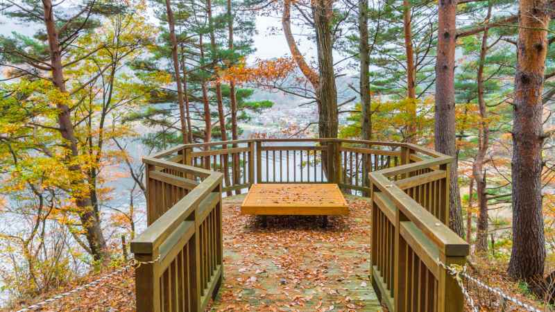 Architectural Wood Elements That Bridge Indoor and Outdoor Living Spaces